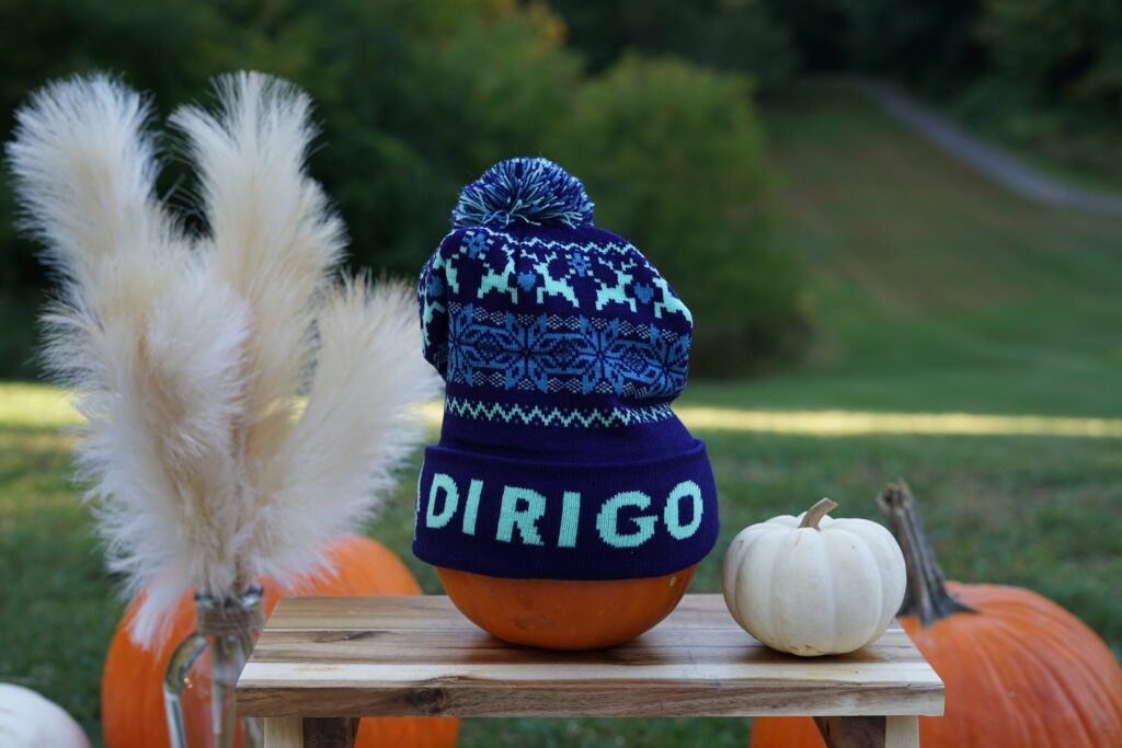 pumpkin on table with dirigo winter hat